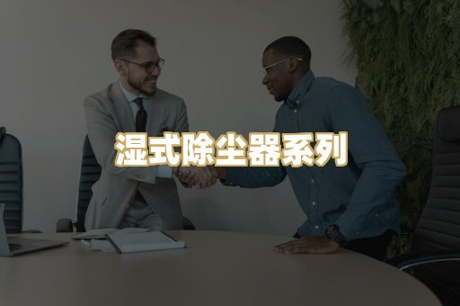 湿式除尘器系列
