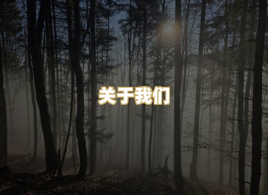 关于我们