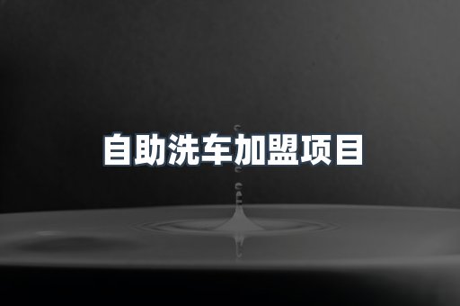 自助洗车加盟项目